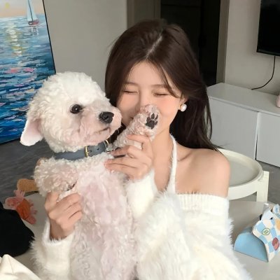 大贼龙虎斗
